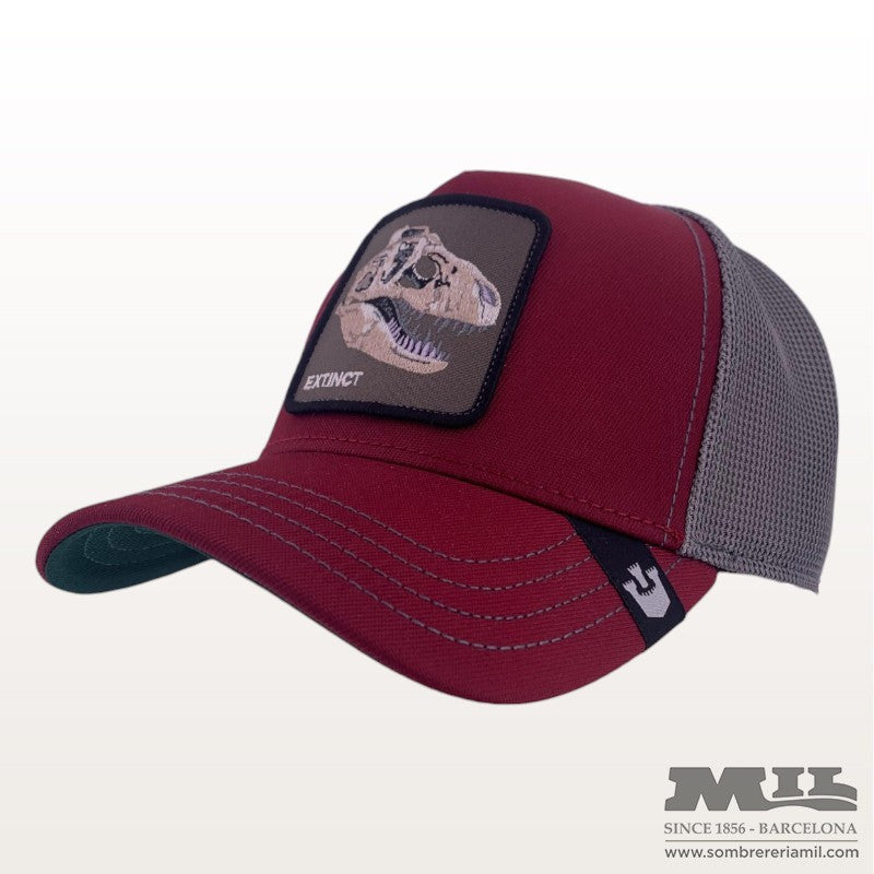 Gorra Trucker "The Extinct" | Goorin Bros.