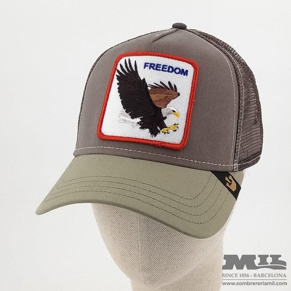 Gorra Goorin Freedom