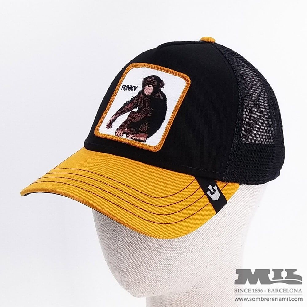 Gorra Goorin Funky