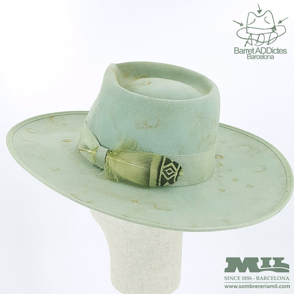 Sombrero de ala plana Vargas