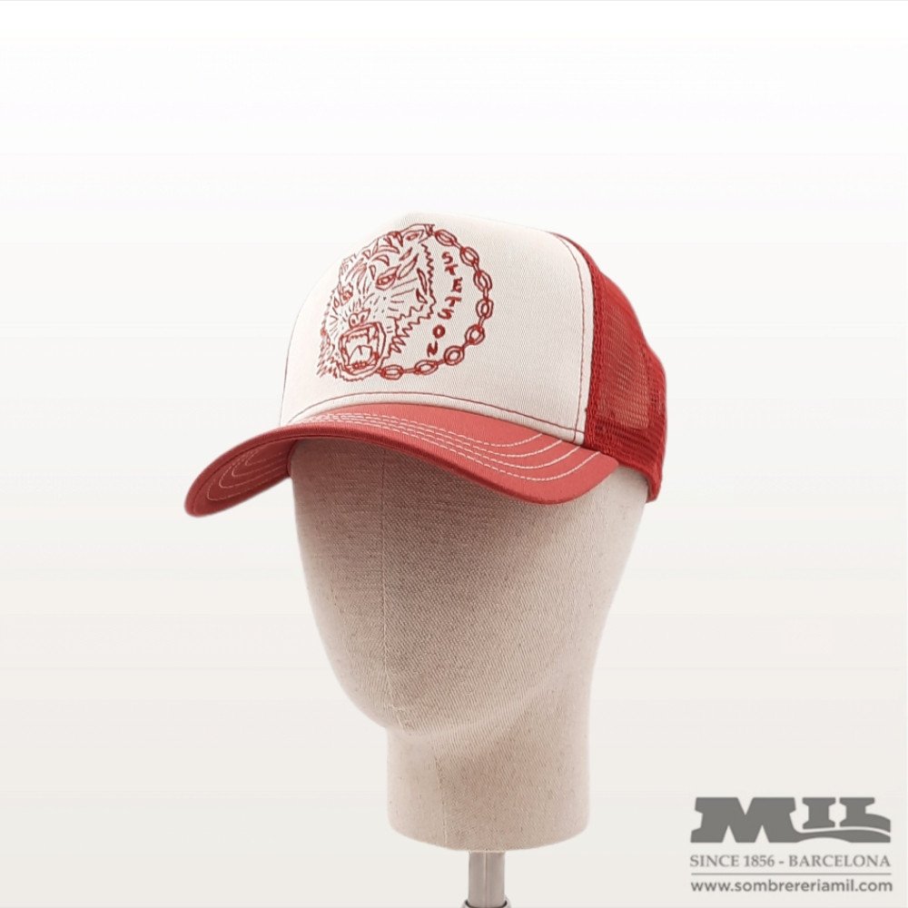 Gorra Stetson Trucker Tiguer