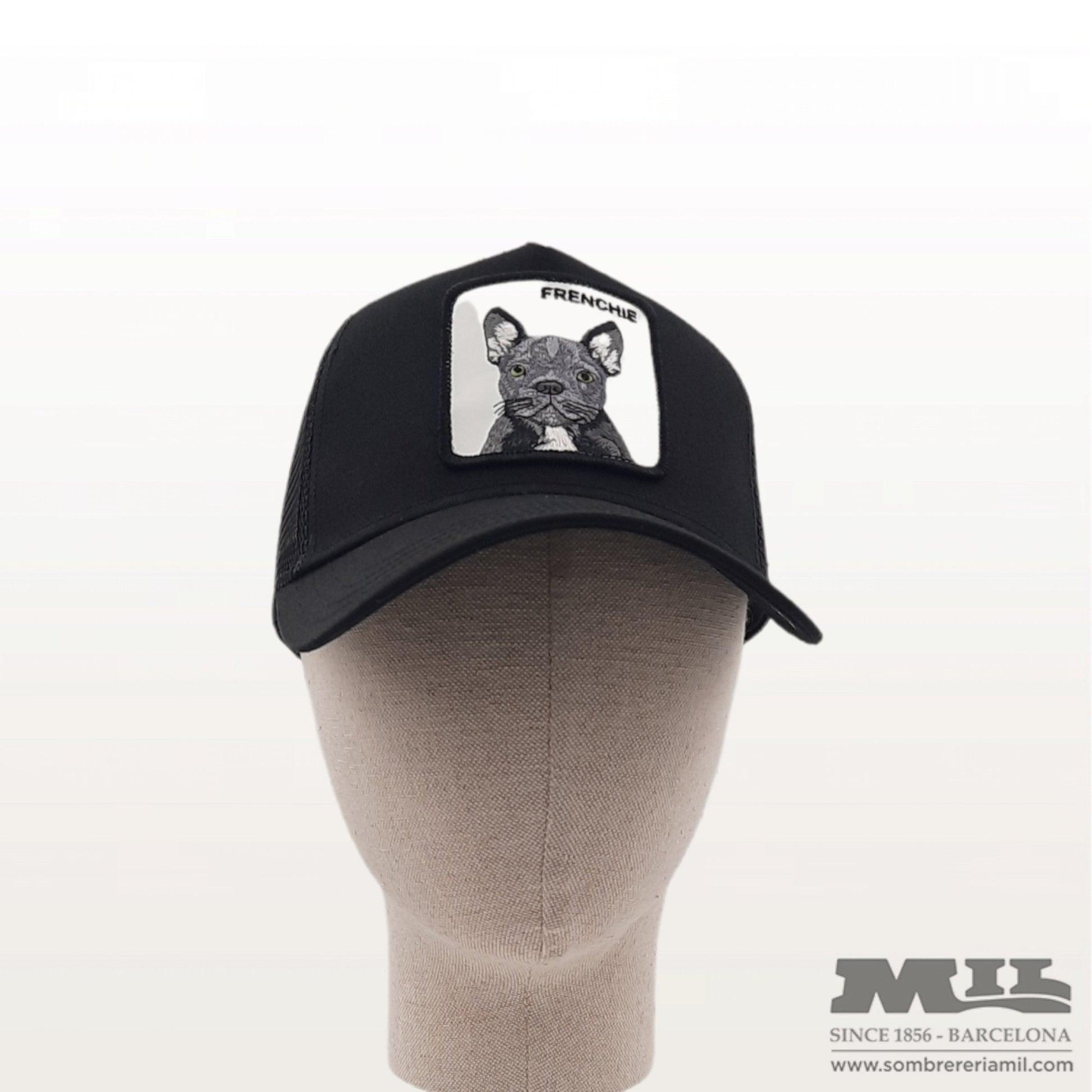 Gorra Goorin Frenchie