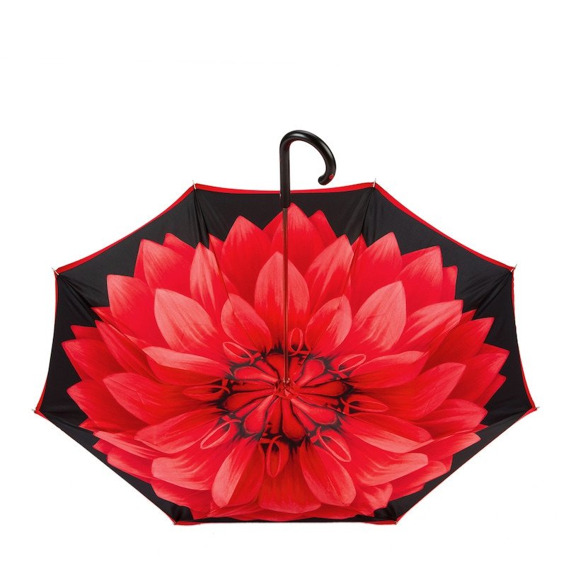 Ladybug Umbrella | Pasotti