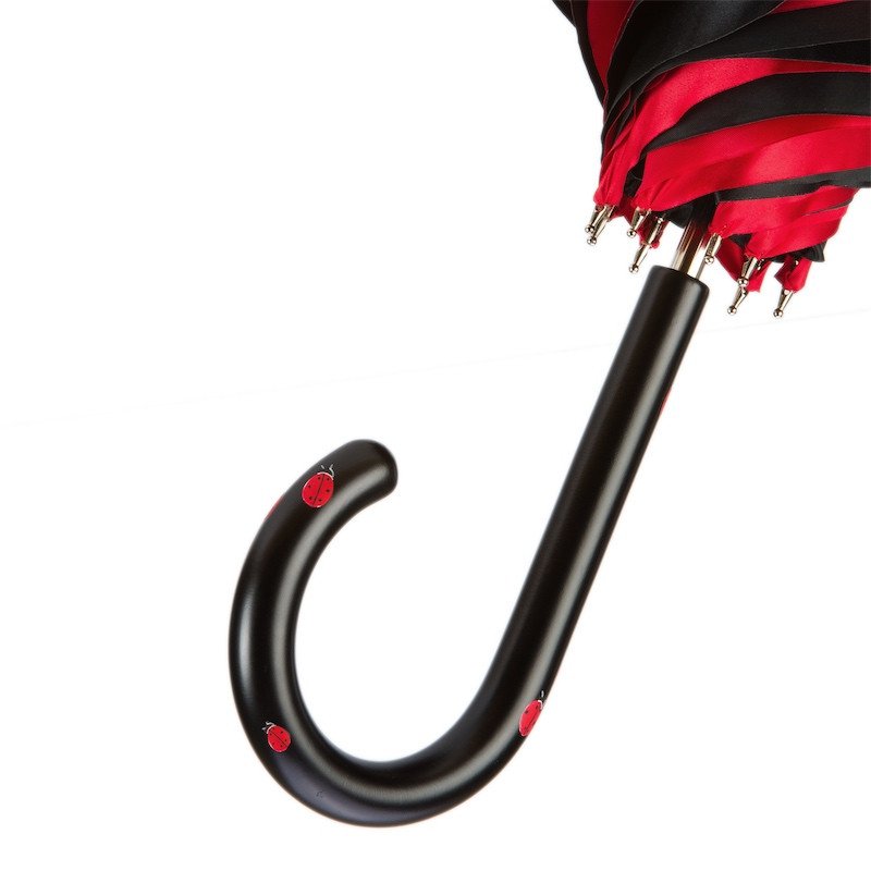 Paraigua Marieta | Pasotti