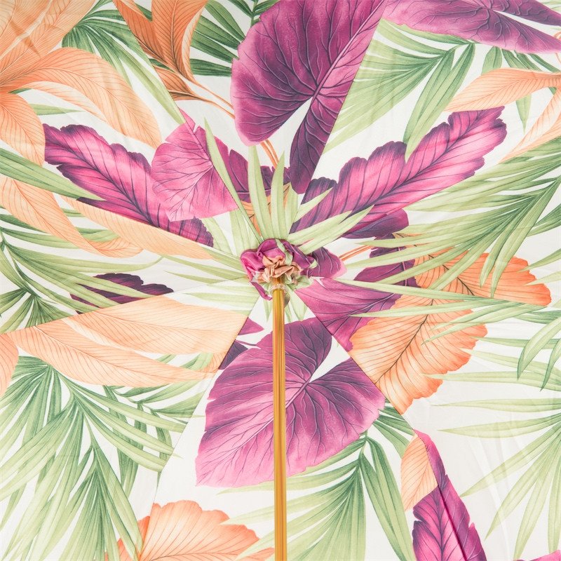 Paraigua Tropical |