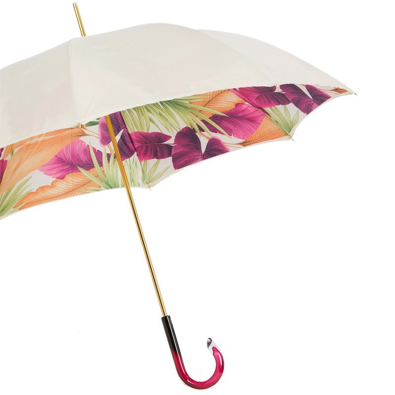 Paraigua Tropical |