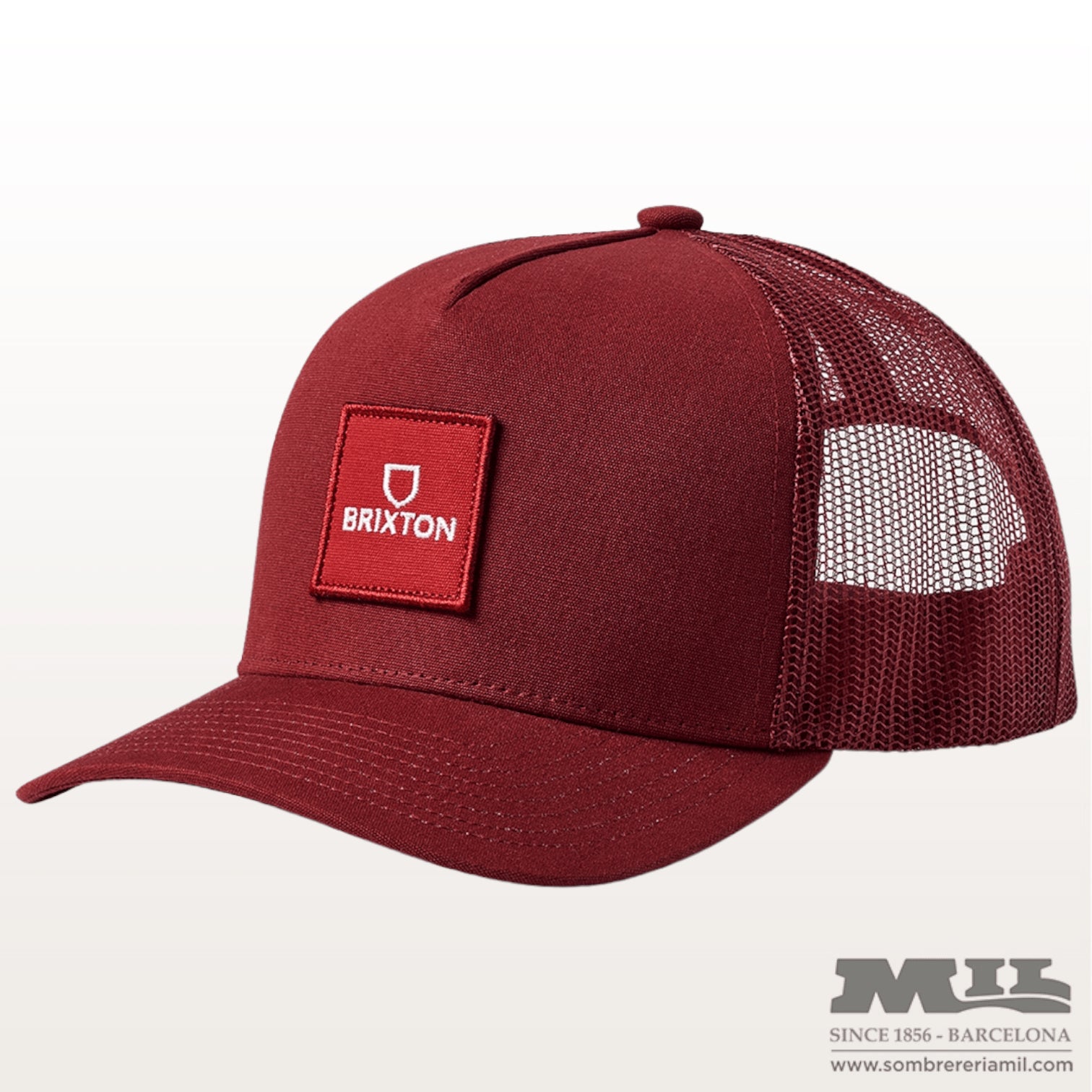 Gorra Alpha Block Brixton