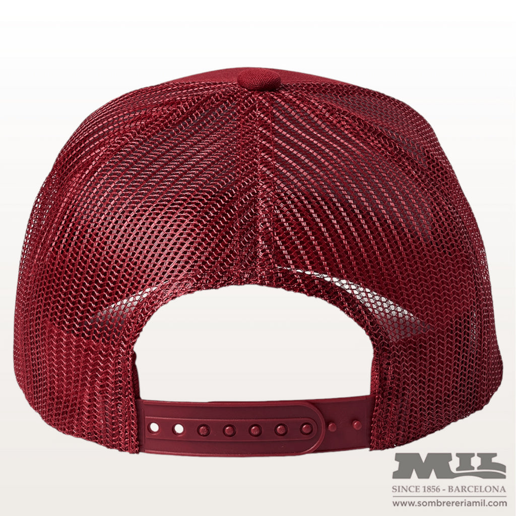 Gorra Alpha Block Brixton