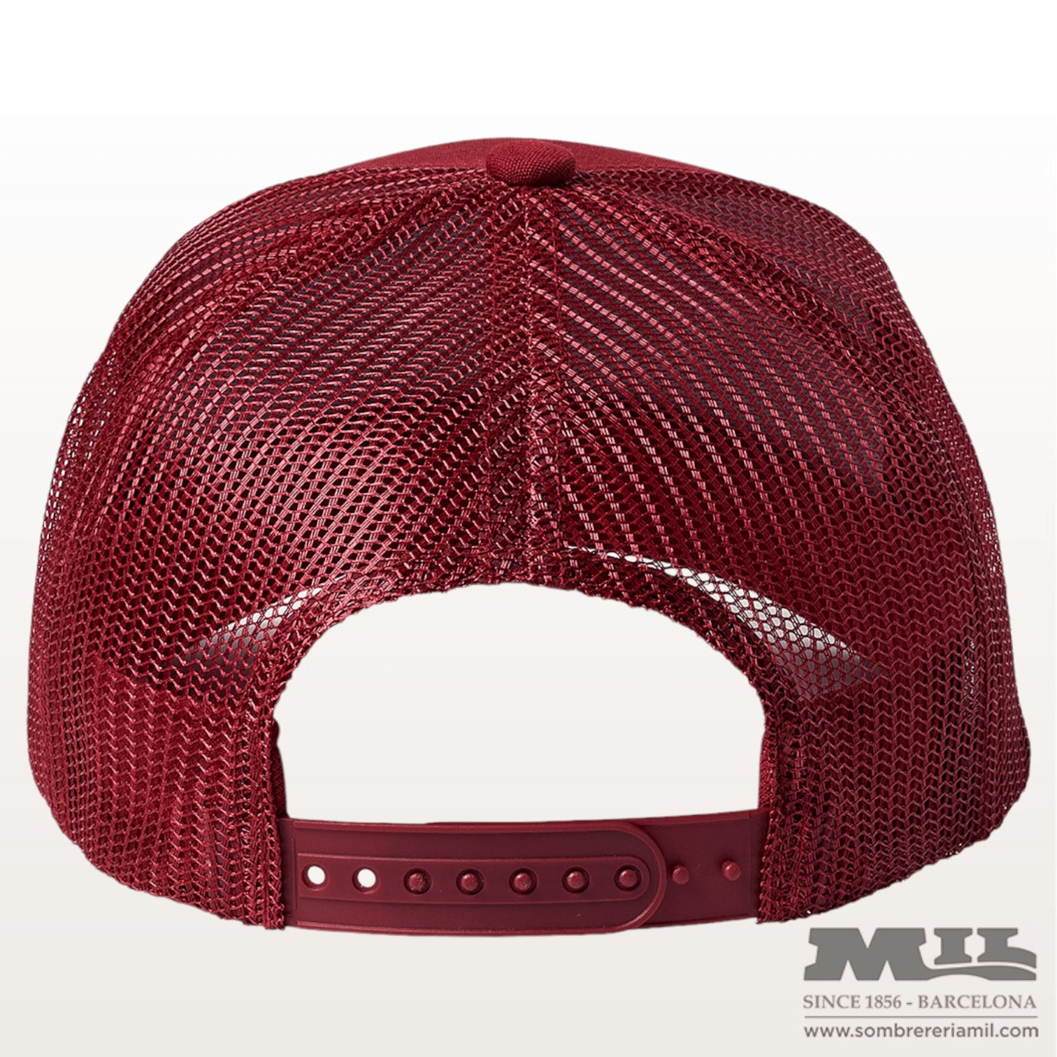 Gorra Alpha Block Brixton