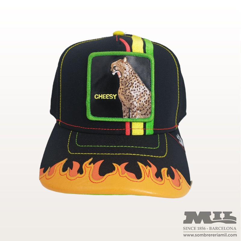 Gorra Dangerlously de Goorin