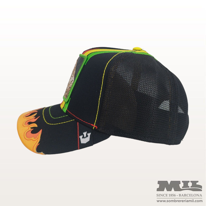 Gorra Dangerlously de Goorin