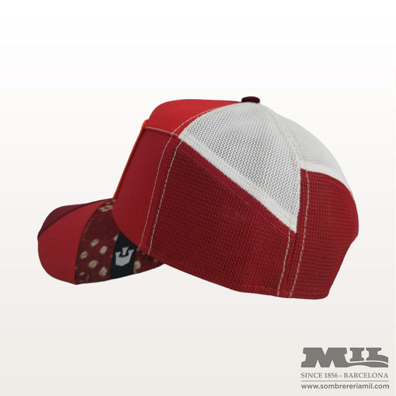 Gorra Farmigami Courage de Goorin