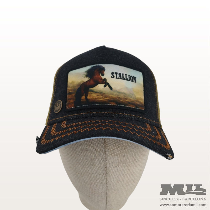 Gorra Stallion de Goorin