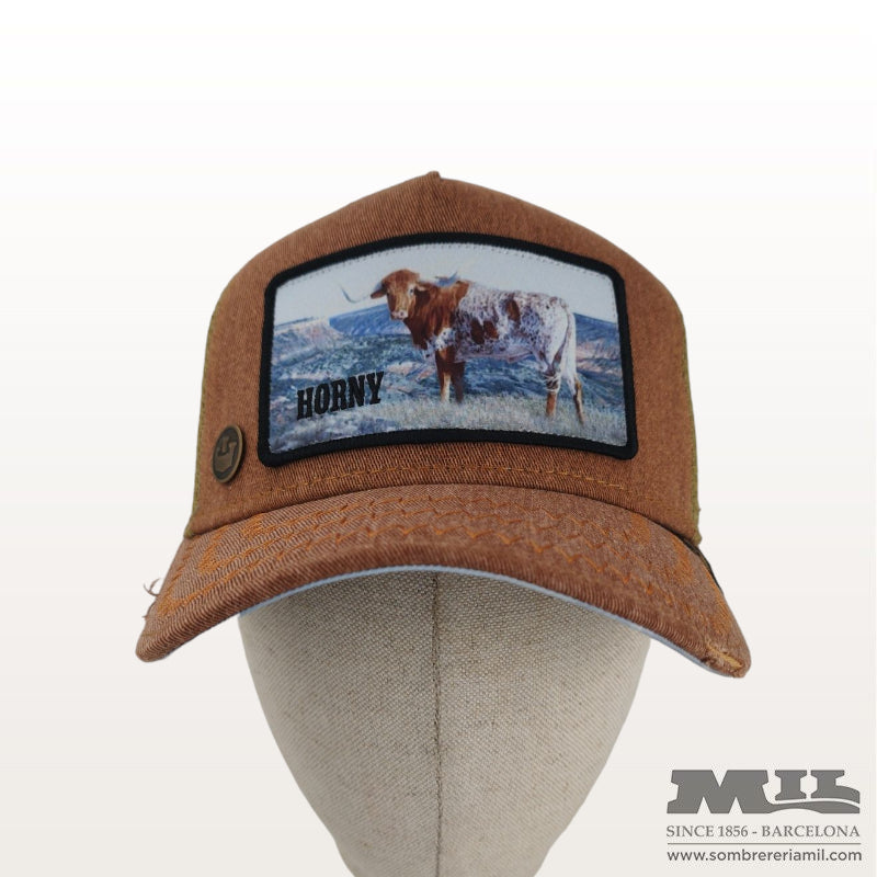 Gorra HO2NY de Goorin