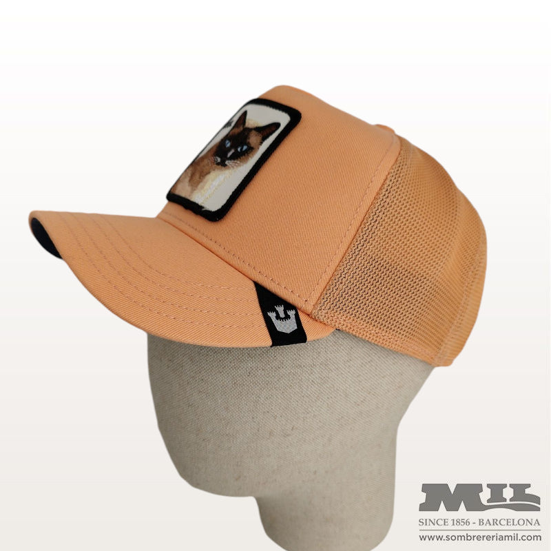 Gorra Cool Cat de Goorin