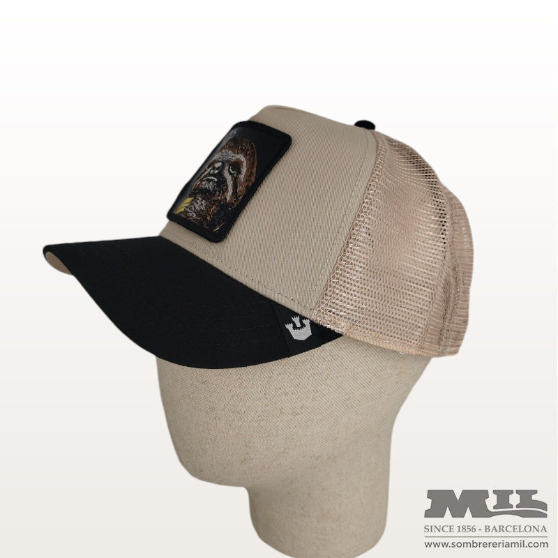 Gorra Faded Sloth de Goorin
