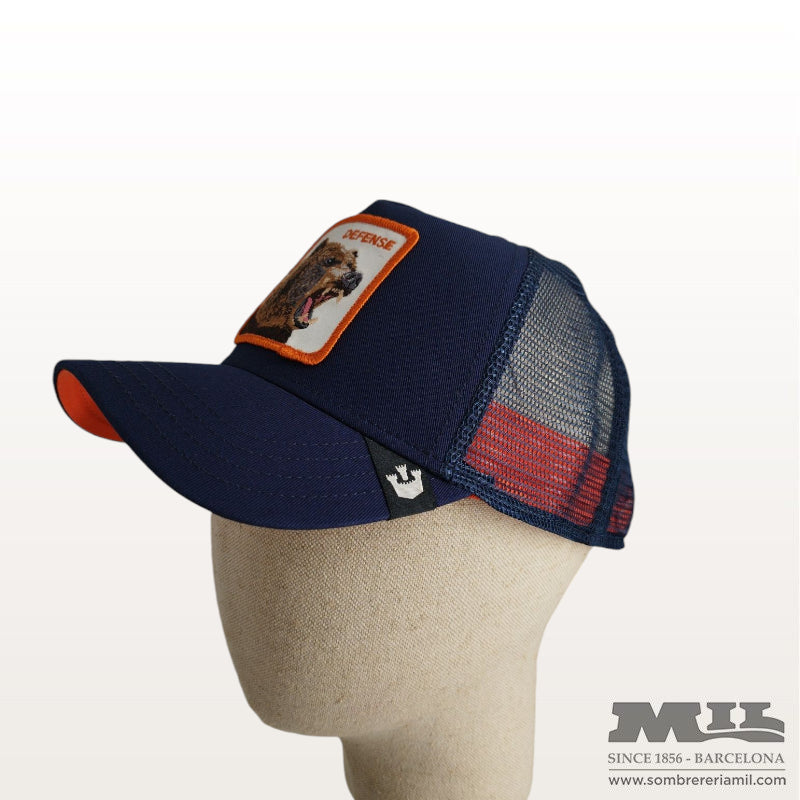 Gorra Bear Fan de Goorin