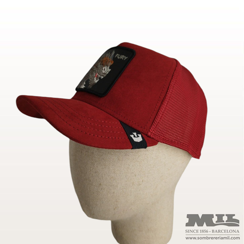 Gorra Suede Dragon de Goorin
