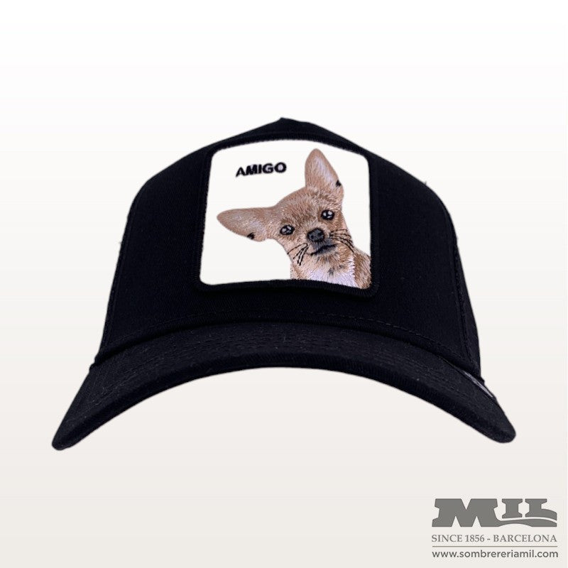 Gorra Trucker Amic |