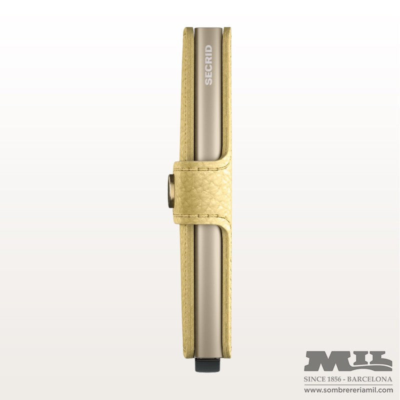 Mini Targeter Pebble | Secriu