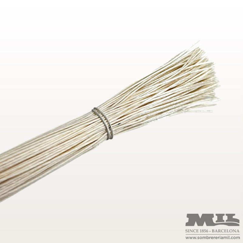 Pistilo largo de Punta Metalizada | Núria Arnau