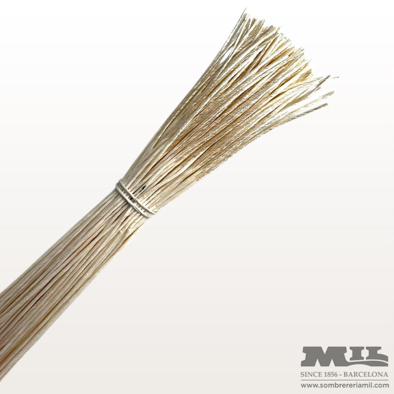 Pistilo largo de Punta Metalizada | Núria Arnau