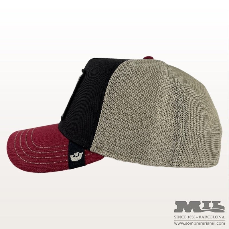 Tricolor Turtle Cap | Goorin Bros