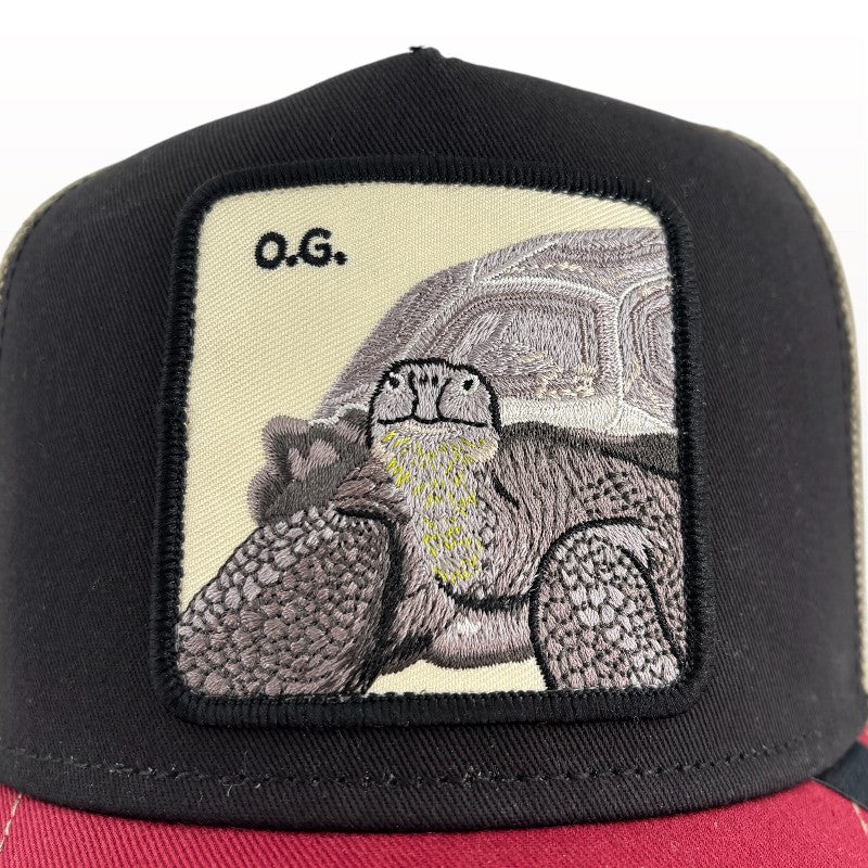 Tricolor Turtle Cap | Goorin Bros