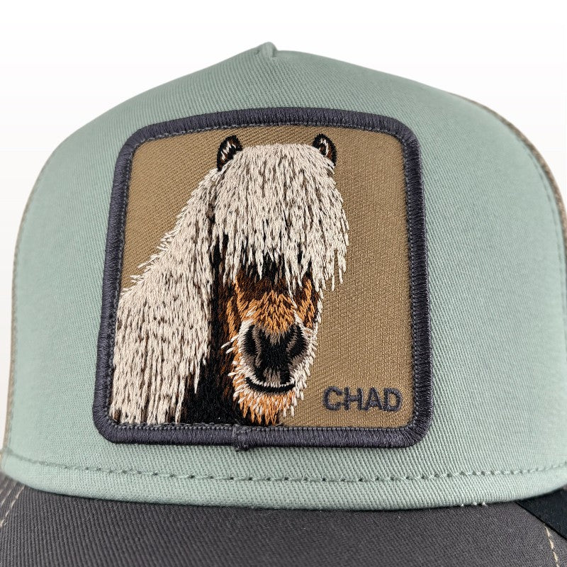 Tricolor Horse Cap | Goorin Bros