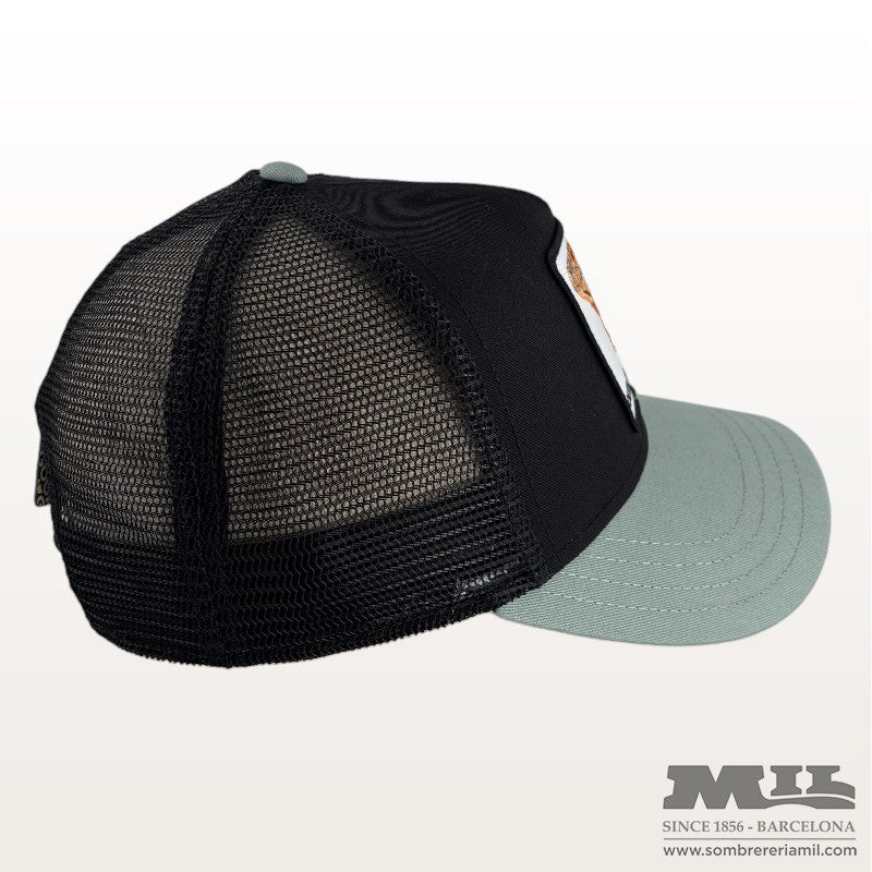Outlaw Lizard Cap | Goorin Bros