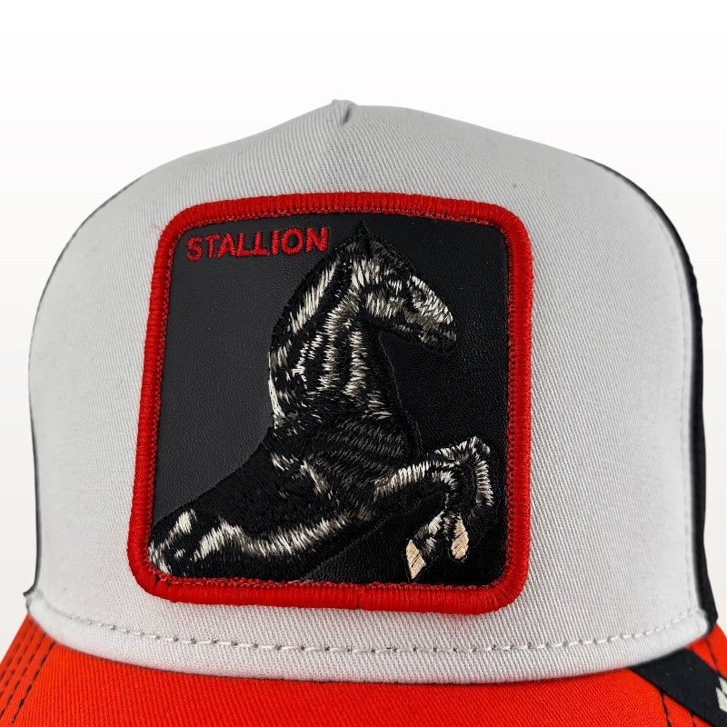 Tricolor Stallion Cap | Goorin Bros