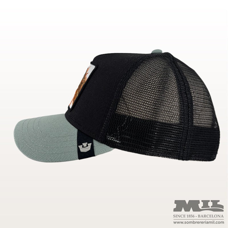 Outlaw Lizard Cap | Goorin Bros