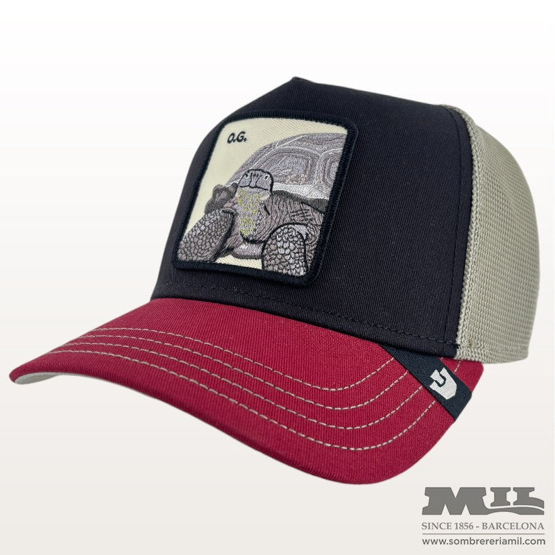 Tricolor Turtle Cap | Goorin Bros