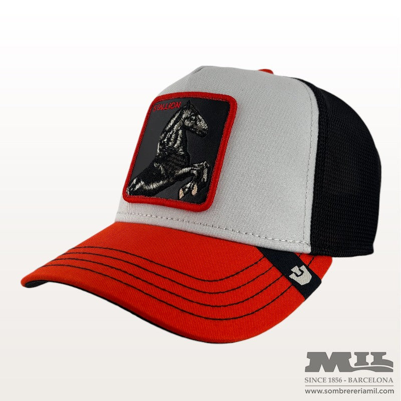 Tricolor Stallion Cap | Goorin Bros