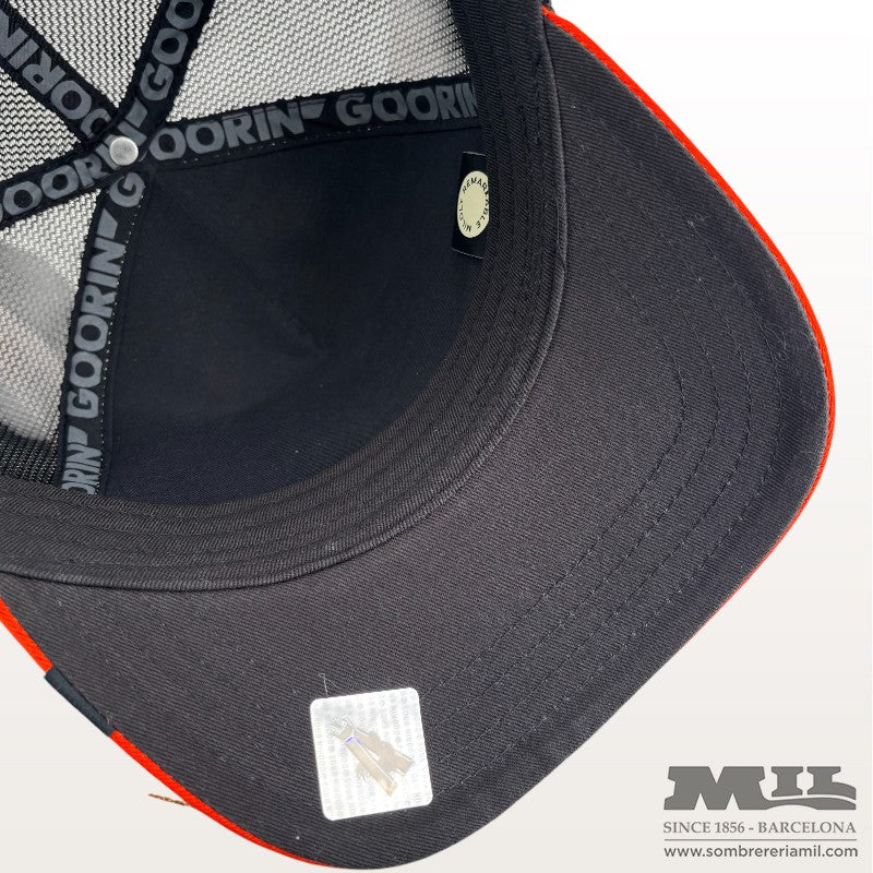 Tricolor Stallion Cap | Goorin Bros