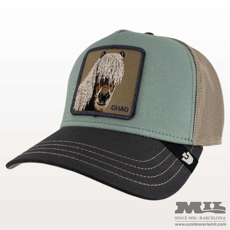 Tricolor Horse Cap | Goorin Bros
