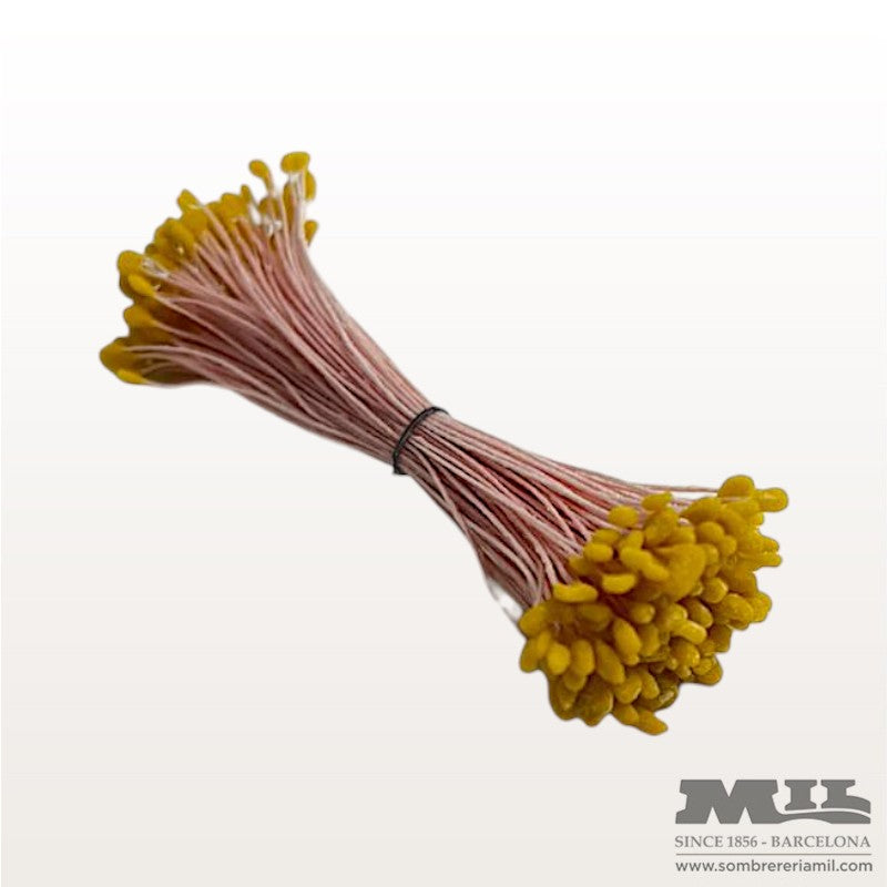 Pistilo Ávila | Núria Arnau