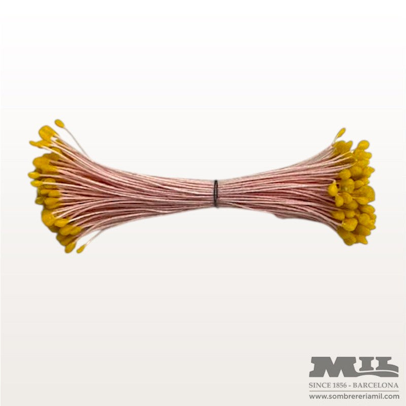 Pistilo Ávila | Núria Arnau