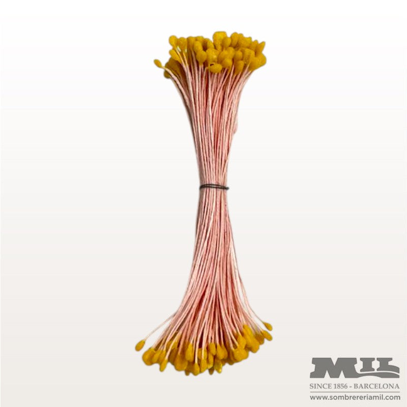 Pistilo Ávila | Núria Arnau