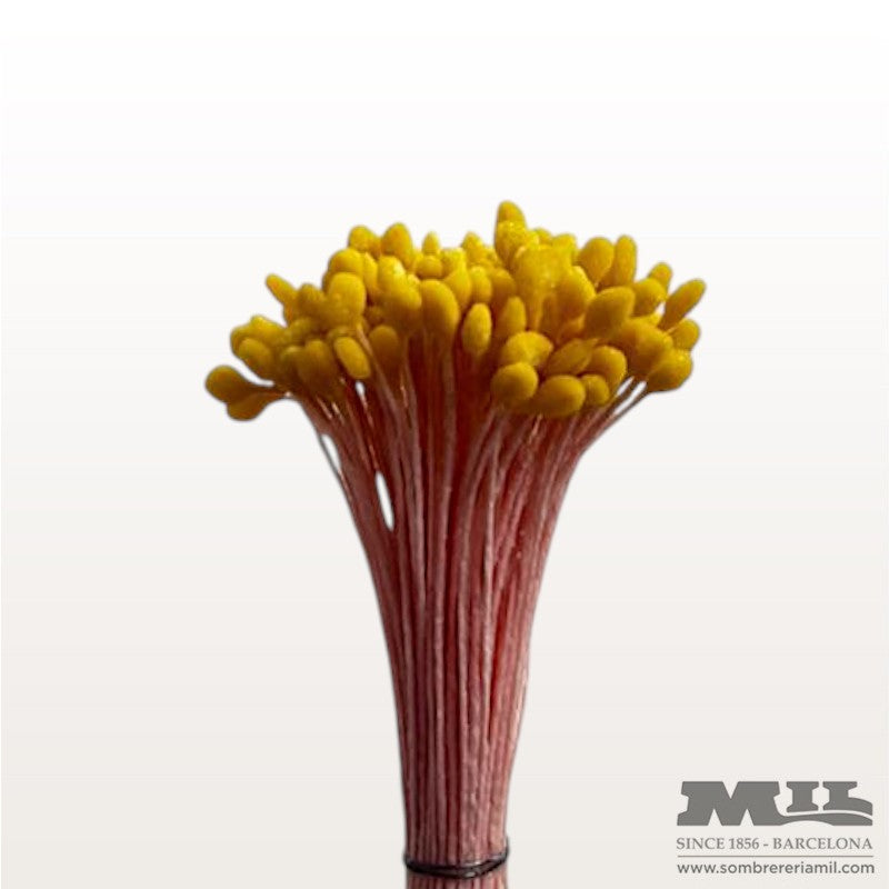 Pistilo Ávila | Núria Arnau