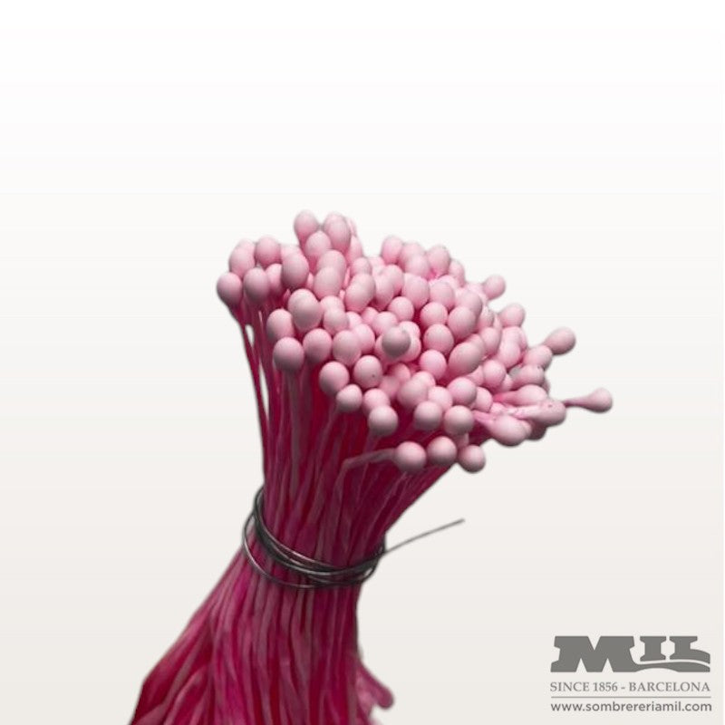 Pistilo Rosado | Núria Arnau