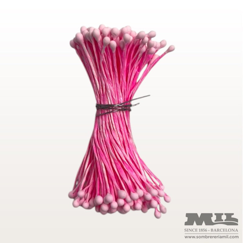 Pistilo Rosado | Núria Arnau