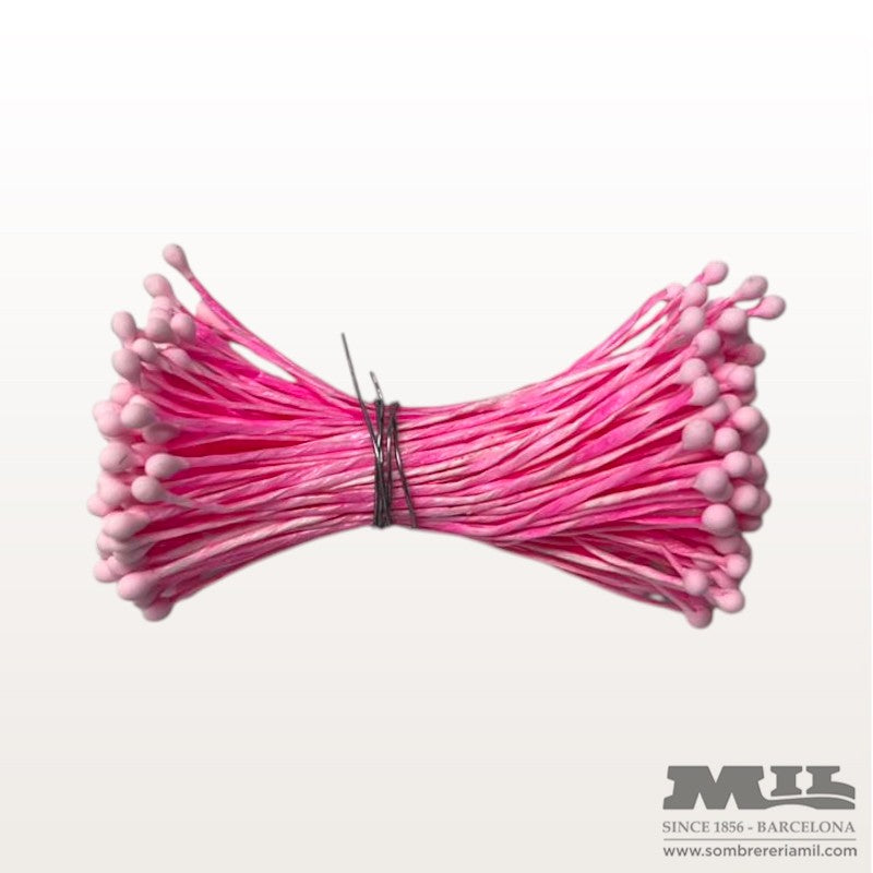 Pistilo Rosado | Núria Arnau