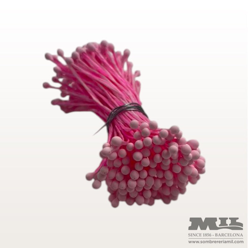 Pistilo Rosado | Núria Arnau